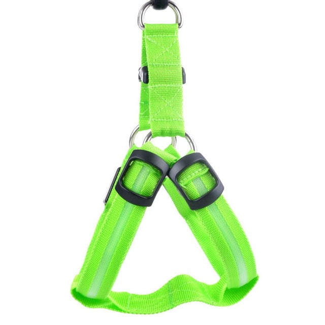 Nylon Pet Safety LED Harness Dog Product Flashing Light Harness Dog Harness Leash Rope Belt