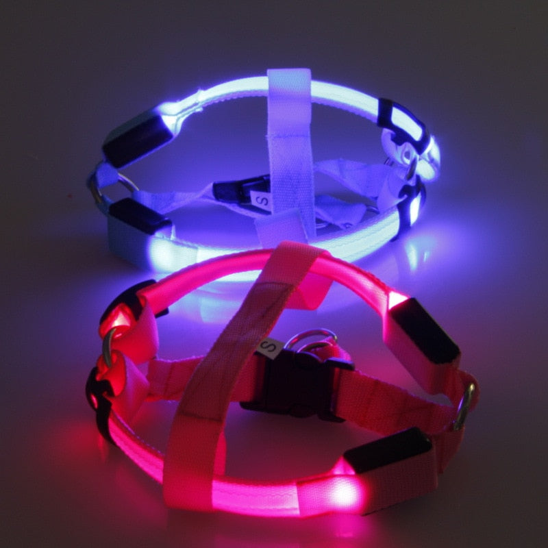 Nylon Pet Safety LED Harness Dog Product Flashing Light Harness Dog Harness Leash Rope Belt