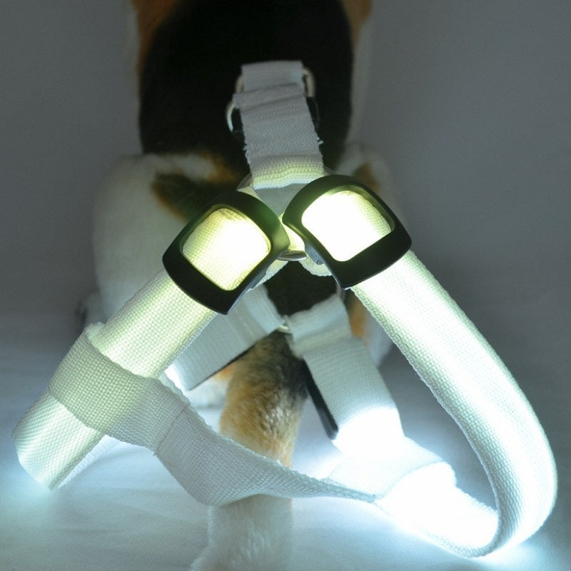 Nylon Pet Safety LED Harness Dog Product Flashing Light Harness Dog Harness Leash Rope Belt