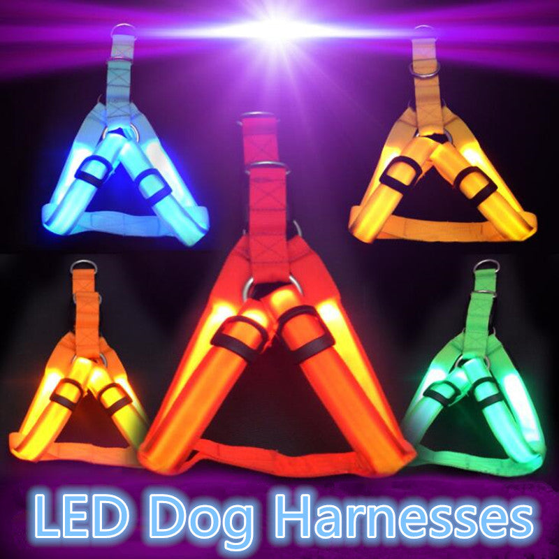 Nylon Pet Safety LED Harness Dog Product Flashing Light Harness Dog Harness Leash Rope Belt