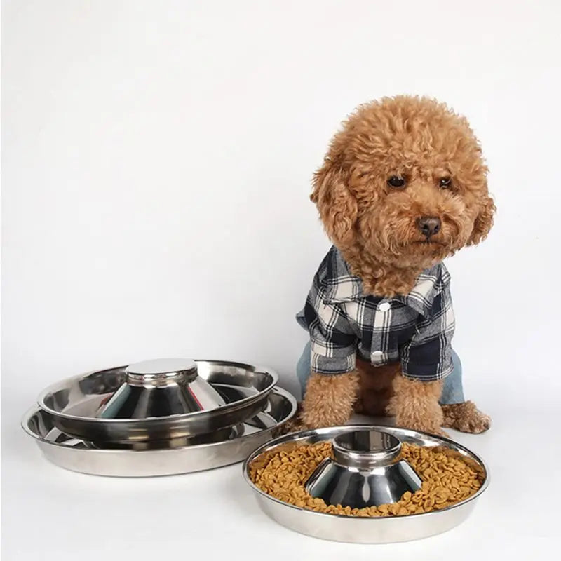 Pet Stainless Steel Dog Bowl Puppy Litter Food Feeding Dish Weaning Silver Stainless Feeder Water Bowl Pets Feeder Bowl